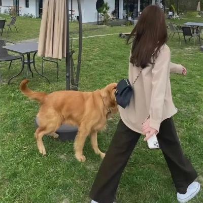低谷医生